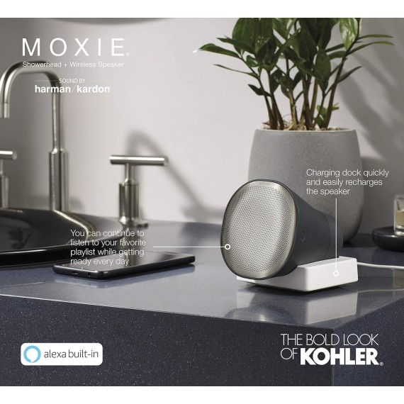 1.75GPM SHOWERHEAD